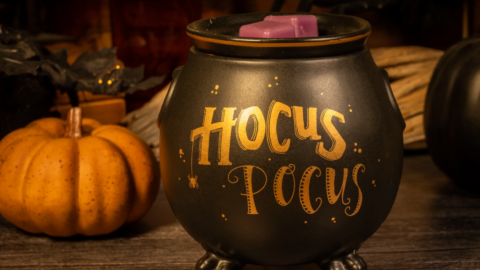 Double, Double, Toil, and Trouble, You Can Get a Hocus Pocus Wax Warmer from Walmart