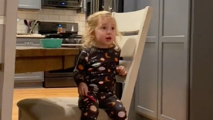 Watching This Little Girl See THAT Scene in The Lion King is Like Watching it For The First Time Yourself