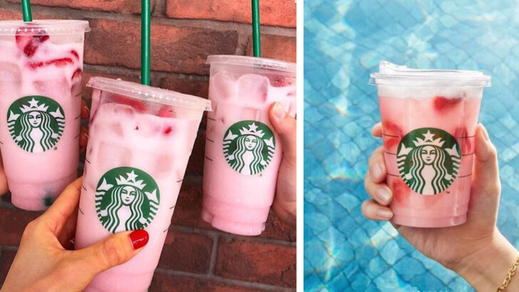 The Starbucks Pink Drink Is Headed To Grocery Stores And We Are Simply Tickled Pink