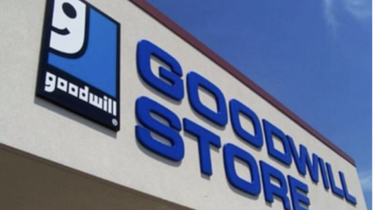 Goodwill Is Bringing Thrifting To The Internet And We Are Here For It