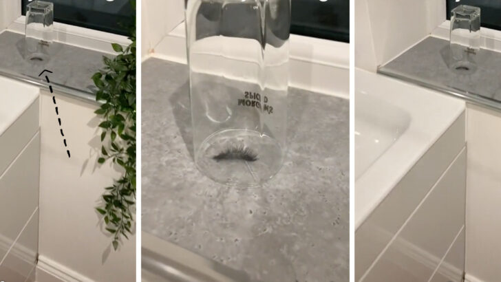 This Dad Thought He Caught A “Creature” at His Daughter’s House And I Can’t Stop Laughing