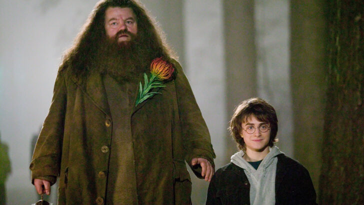 Robbie Coltrane Who Played Hagrid in The Harry Potter Movies, Has Died