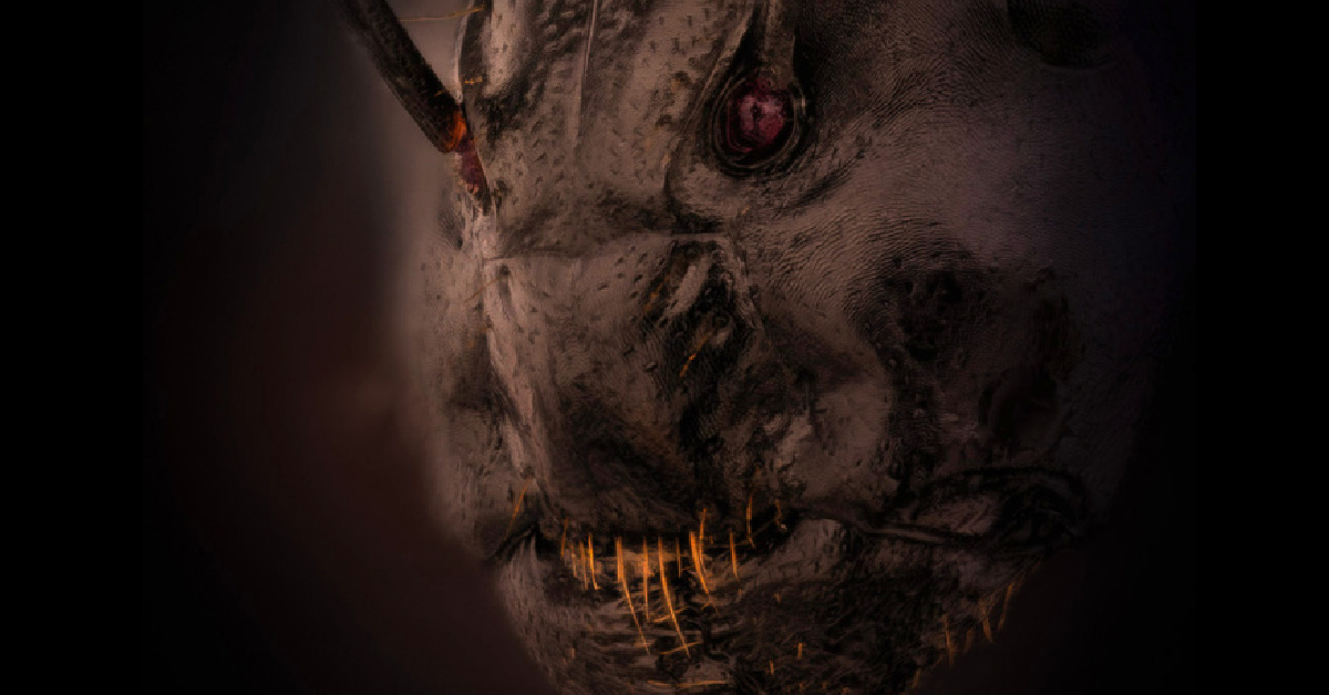 This Terrifying Photo Shows What An Ant’s Face Looks Like Up Close And I’ll Never Be Able To Unsee It