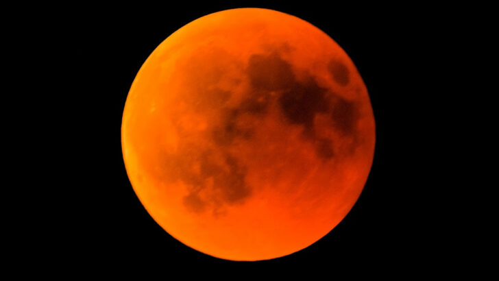 Here’s When You Can Watch The Full Beaver Moon