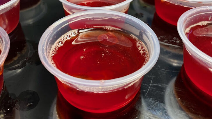 Easy Cranberry Jello Shots Are All The Holly Jolly You’ll Need This Holiday Season