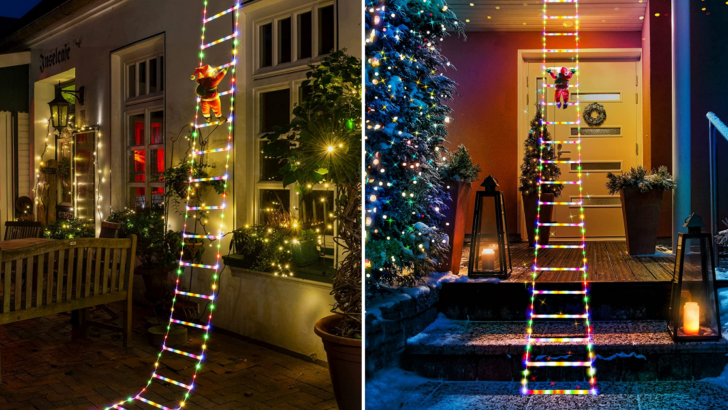 You Can Get A 10 Foot Light Up Ladder You Hang from Your House so Santa Can Deliver Presents
