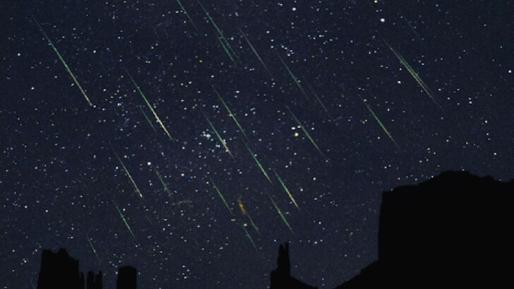 The Leonid Meteor Shower Will Peak During The Early Morning Of November 18th So Bundle Up And Get Outside