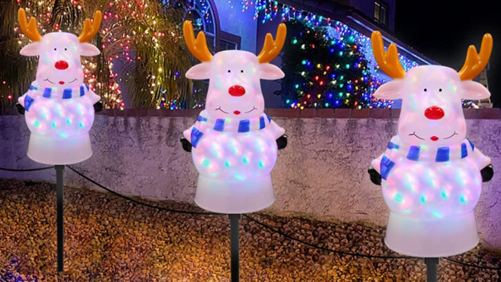 These Reindeer Lights Show Santa the Way to Your House For Christmas