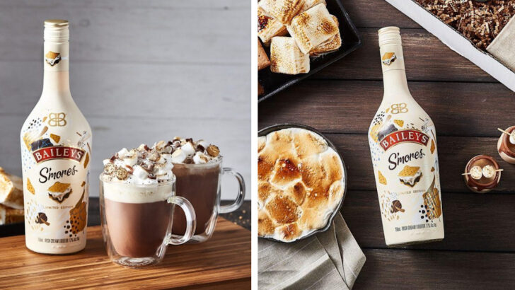 Baileys Now Has A S’Mores Liqueur And It Might Be My New Favorite