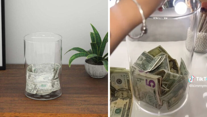 This Acrylic Piggy Bank Doesn’t Open Unless You Break It and It’s Perfect for Saving Money