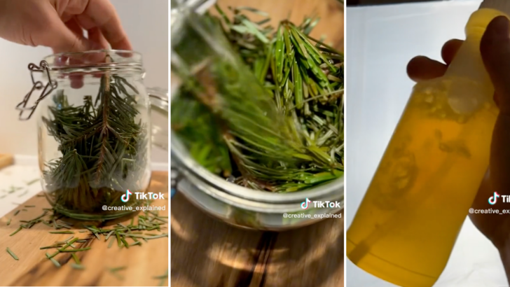 Here’s How You Can Make A Homemade Disinfectant Spray Using Your Live Christmas Tree