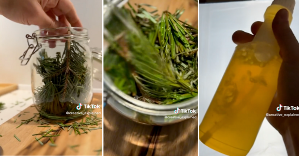 Here’s How You Can Make A Homemade Disinfectant Spray Using Your Live Christmas Tree