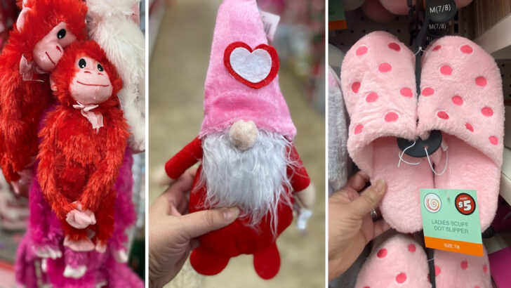 Dollar Tree Dropped Their Valentine’s Day Collection and You’re Going to Fall In Love