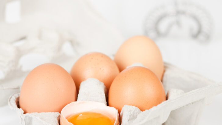 Did You Know That You Can Freeze Eggs? Here’s How to Do It Correctly.