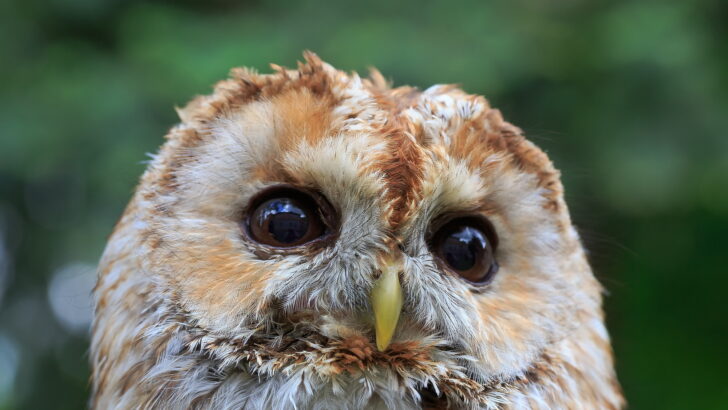 Why Being a Night Owl is the Ultimate Mom Trick