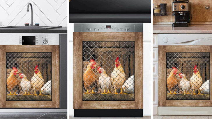 This Chicken Dishwasher Cover is Perfect For Any Chicken Coop Owner
