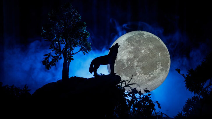 Here’s When You’ll Be Able to View The Wolf Moon Which Is Also the First Full Moon of the Year