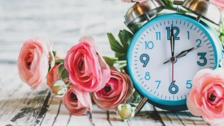 Daylight Savings Time Is Almost Here, And Here’s When To Spring Those Clocks Forward