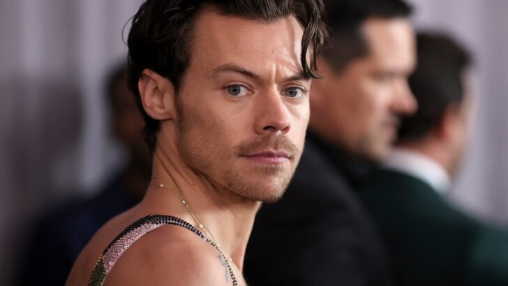 Harry Styles Walked The Red Carpet in An Outfit That Looks Like My Grandma’s Quilt and I Love It