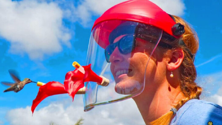 This Wearable Hummingbird Feeder Takes Bird Watching To The Next Level