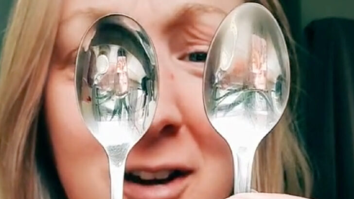This Viral Spoon Debate Has The Internet Divided. Which One Would You Pick?