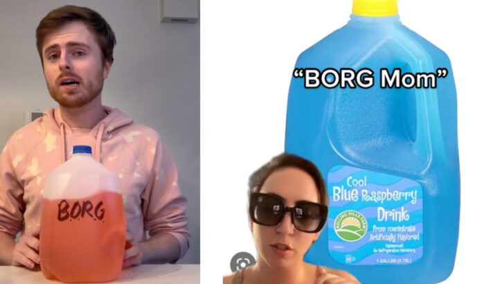 What Is BORG and Why is Everyone Talking About It?