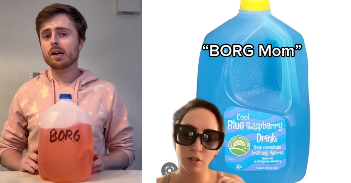 What Is BORG and Why is Everyone Talking About It?