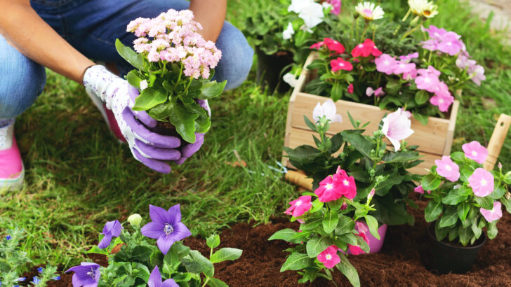 Lowe’s is Giving Out Free Flowers for Mother’s Day. Here’s How to Get One.