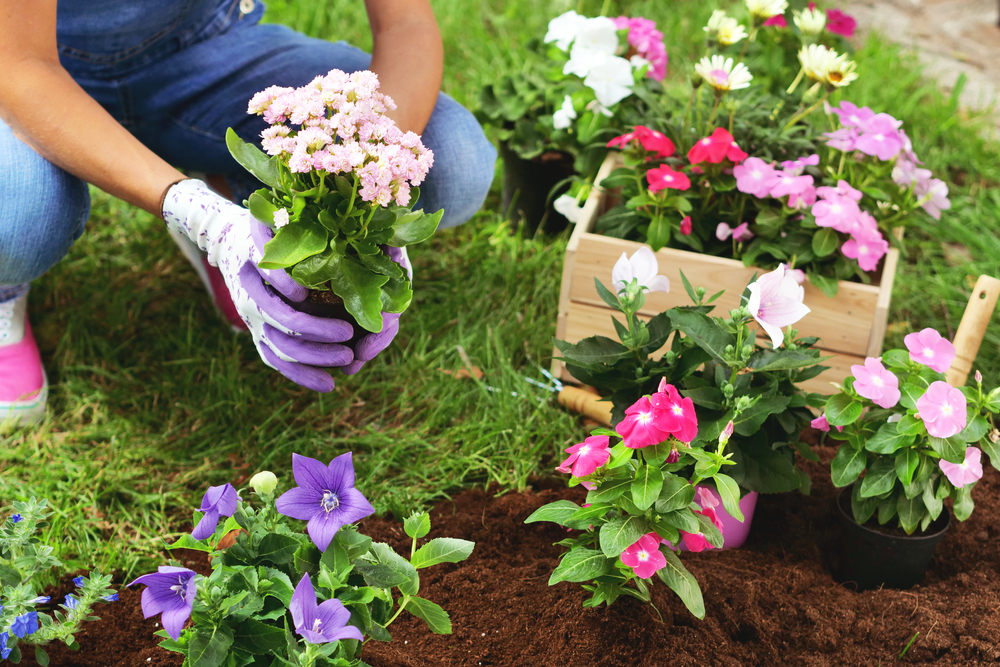 Lowe’s is Giving Out Free Flowers for Mother’s Day. Here’s How to Get One.