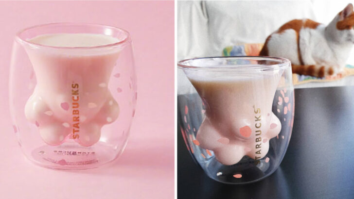 This Limited-Edition Starbucks Cat Paw Cup Is So Popular, People Were Actually Fighting Over it In Store