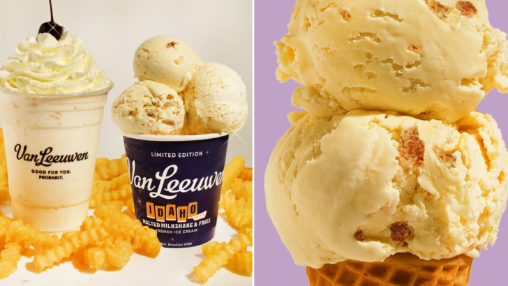 Van Leeuwen Released Ice Cream Pints That Taste Exactly Like a Malt Milkshake and Fries