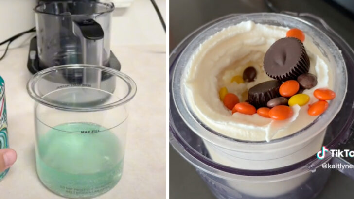 People Are Obsessed with This Machine That Makes Flavored Ice Cream and Sorbet in Minutes