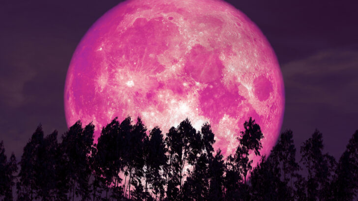You’ll Soon Be Able To See April’s Pink Full Moon. Here’s How.