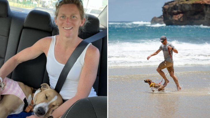 You Can Take A Shelter Dog Out On A Field Trip, And This Is Such A Sweet Idea