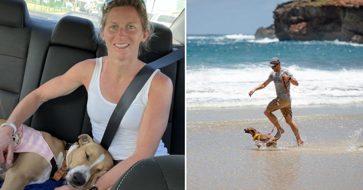 You Can Take A Shelter Dog Out On A Field Trip, And This Is Such A Sweet Idea