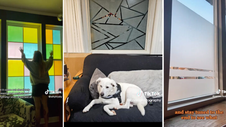 People Are Painting Elmer’s Glue On Their Windows And The Results Are Gorgeous