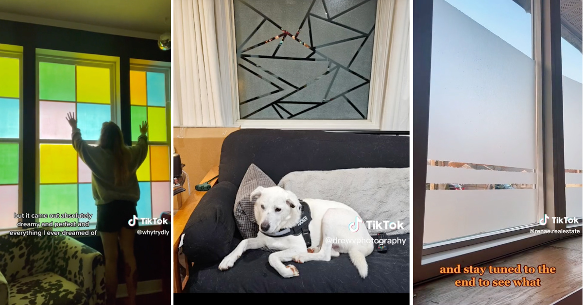 People Are Painting Elmer’s Glue On Their Windows And The Results Are Gorgeous