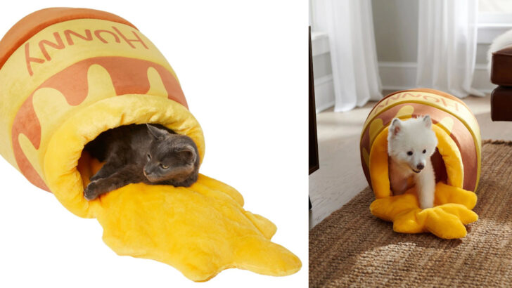 This Winnie the Pooh Pet Bed Is A Must Have For Any Disney Fan