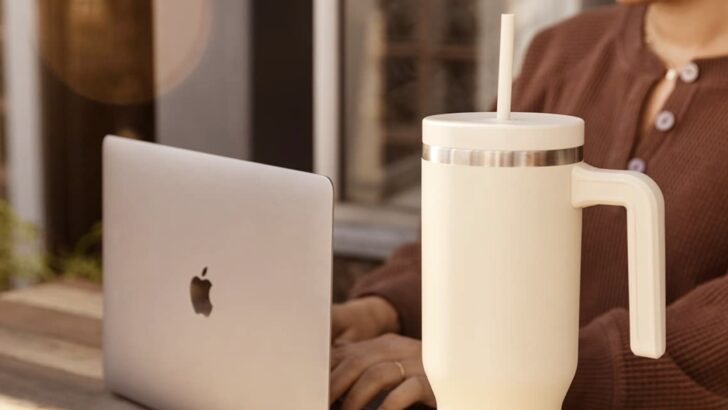 These Stanley Tumbler Dupes Look Identical and Are Nearly Half The Cost