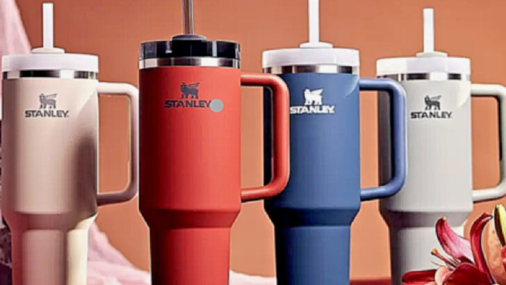 The Stanley Quencher H2.o FlowState Tumbler Is Back In Stock So, Grab It While You Can
