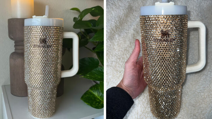 You Can Get A Kit To Bedazzle Your Own Stanley Tumbler And You Know You Need It