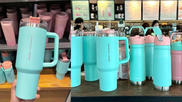Starbucks Released Stanley Cups and People Are Losing Their Minds