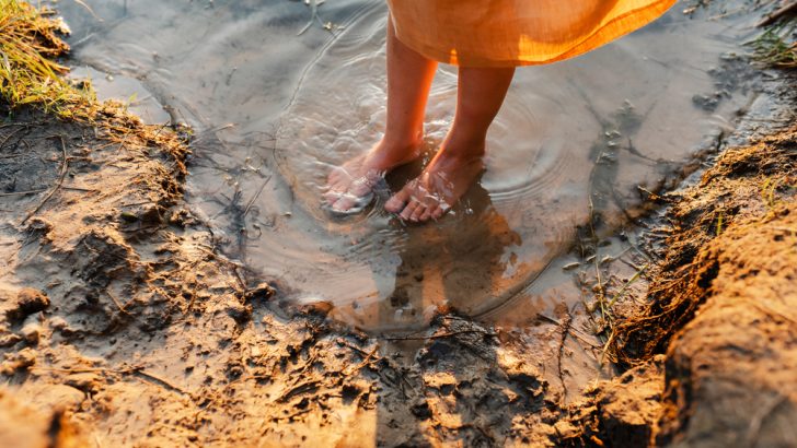 Ten Ways to Simplify Your Life Today: A Guide to Becoming a Minimalist Ninja