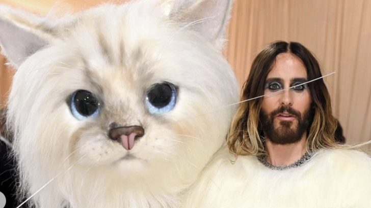 Jared Leto Wins The Met Gala After Showing Up Dressed as a Giant Cat