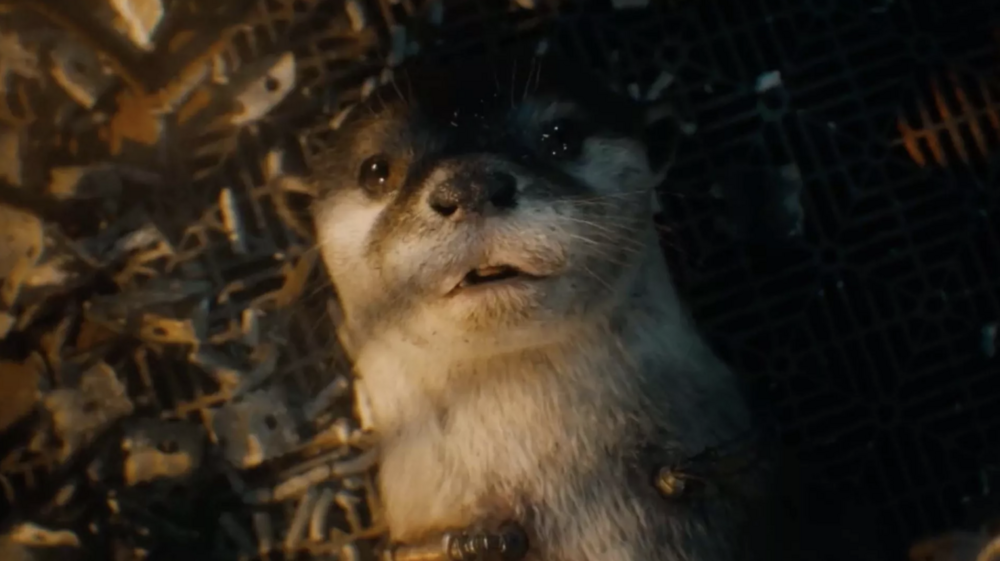 guardians of the galaxy