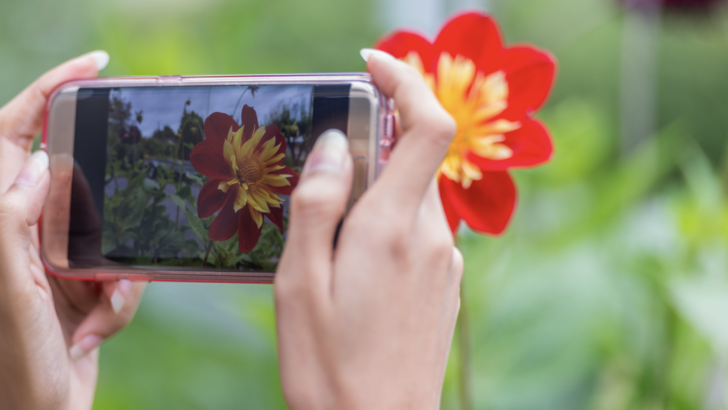 Your iPhone Can Now Identify Plants Just By Taking A Photo of It