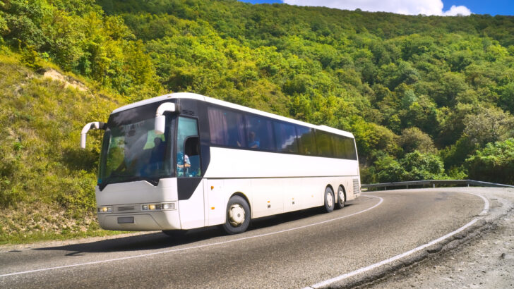 You Can Travel On A Bus For As Low As $2 Per Ticket and I’m Freaking Out
