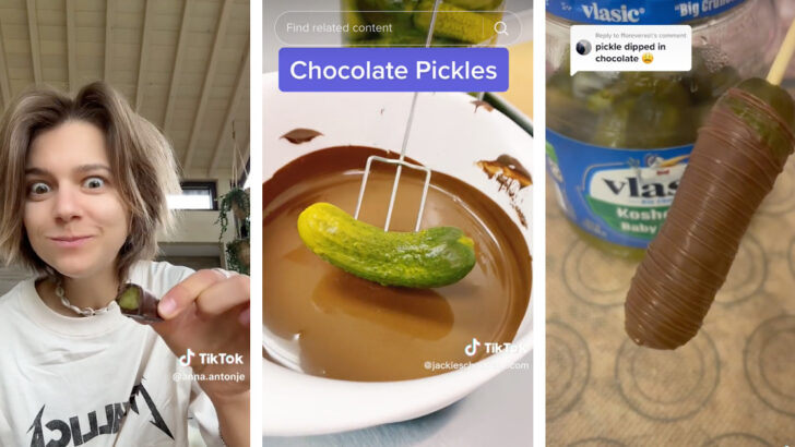 Chocolate Covered Pickles Are The Hottest New Dessert Trend And I Have To Try Them
