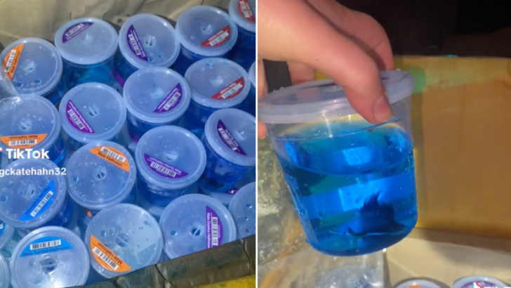 This Woman Found Dozens of Live Fish in the Garbage After Dumpster Diving at PetSmart