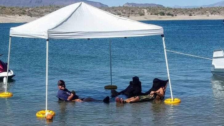 Goodbye, Sunburn. This Floating Canopy Kit Lets You Swim in the Water With Constant Shade